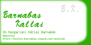 barnabas kallai business card